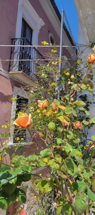 Ancient Stone 'Casa Rosa'- Sea And Mountain View Tranquil Borgo Villa Tavenna Bagian luar foto