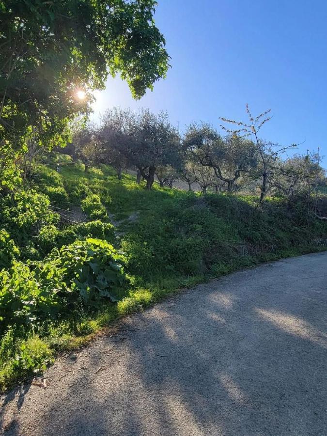 Ancient Stone 'Casa Rosa'- Sea And Mountain View Tranquil Borgo Villa Tavenna Bagian luar foto