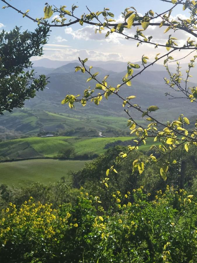 Ancient Stone 'Casa Rosa'- Sea And Mountain View Tranquil Borgo Villa Tavenna Bagian luar foto